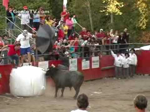 Marradas na Tourada da Gente - Aug22 - #3