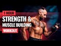 1 Hour STRENGTH & MUSCLE BUILDING Home Workout (Real-TIme)