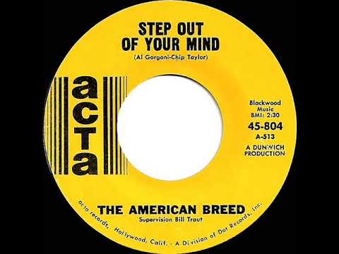 1967 HITS ARCHIVE: Step Out Of Your Mind - American Breed (mono 45)