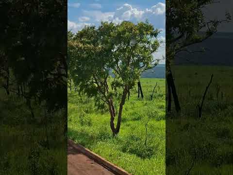trecho serranopolis no goias x chapada do sul