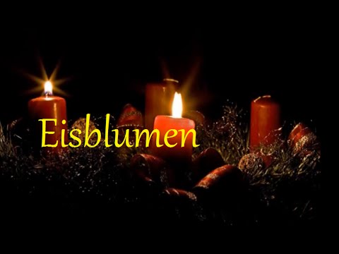 [Weihnachtgeschichte] Eisblumen