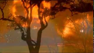 Brendan Perry - Utopia