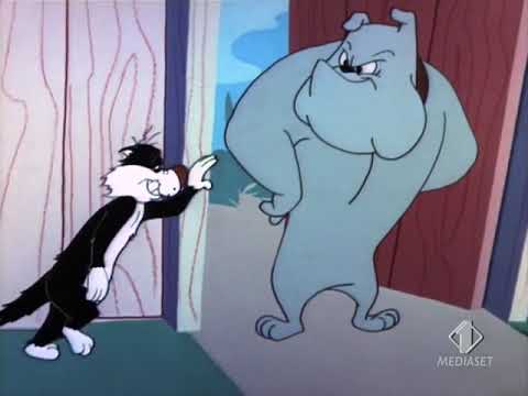 Piu Piu e Frajola Filhote do papai