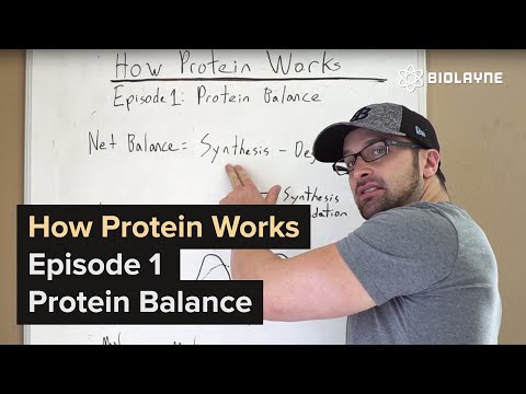 download lagu mp3 mp4 Protein Balance, download lagu Protein Balance gratis, unduh video klip Protein Balance