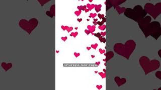 כל הפושט יד נותנים לו בפורים מה שמבקשים מקבלים רק לבקש (הרב אברהם מלמד) - התמונה מוצגת ישירות מתוך אתר האינטרנט יוטיוב. זכויות היוצרים בתמונה שייכות ליוצרה. קישור קרדיט למקור התוכן נמצא בתוך דף הסרטון