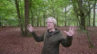 Vi har inviteret Naturstyrelsen til den nye natur-nationalpark i Gribskov og spø