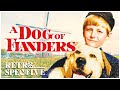 20th Century Fox Classic Family Movie | A Dog Of Flanders (1959)