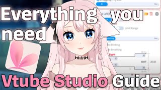 Vtube Studio Setup Guide - Beginner Friendly! thumbnail