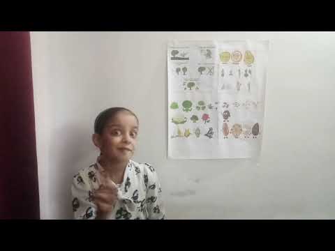 Edible parts of plants..