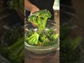 How To Cook Broccoli Correctly Shorts