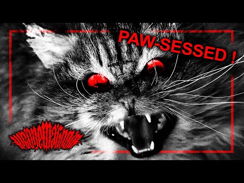 We Are Magonia - Art Of Violence (Cat Memes Edition) [DUBSTEP/DEATHSTEP/TEAROUT]