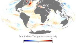 Sea Surface Temperature Anomaly