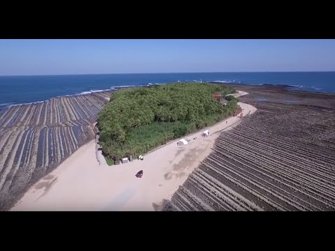Beautiful Miyazaki「青島・堀切峠」
