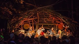 Andrew Bird - Give it Away - @Pickathon 2013 - Woods Stage