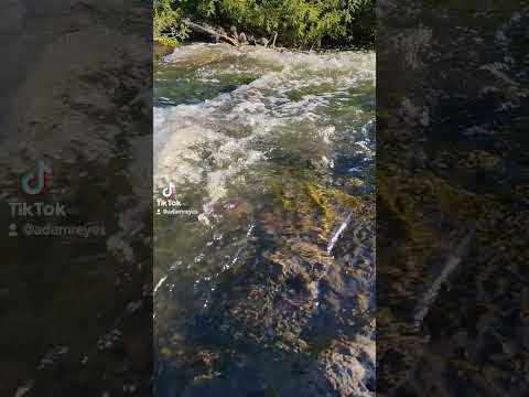 Arroyo Quebracho Grande - Paysandú, Uruguay