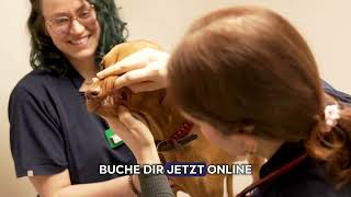 Du suchst einen Tierarzt in der Nähe?