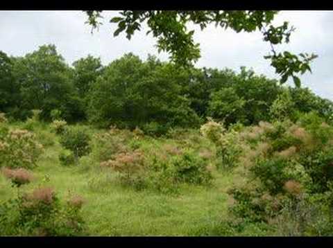 Kardzhali, BULGARIA - Destinations-...PERPERICON