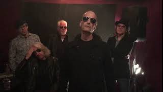 Rock N Roll Animals Promo