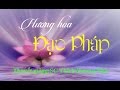 Pháp Thoại: Hương Hoa Đạo Pháp - Sư Cô Hương Nhũ