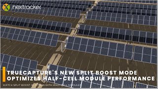 TrueCapture's New Split Boost Mode Optimizes Half-Cell Module Performance