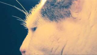 Mount Kimbie - Between Time [Unoffical Video]