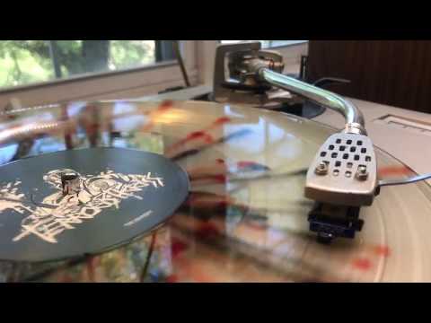 Terroristkriss - Like Discipline