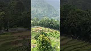 Download lagu Warung panorama, balegede, naringgul cianjur selatan #shortvideo mp3 Download lagu Warung panorama, balegede, naringgul cianjur selatan #shortvideo mp3