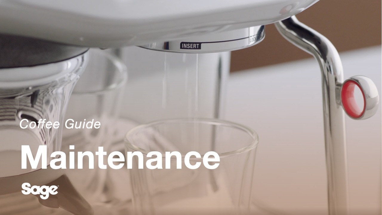 How to adjust milk temperature and texture