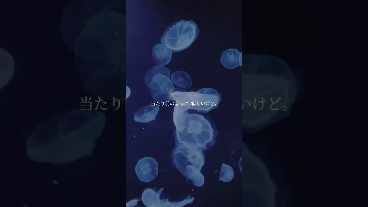 君がいなくても　demo