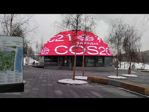 Обзор смартфона vivo Y31: торжество умеренности / Смартфоны