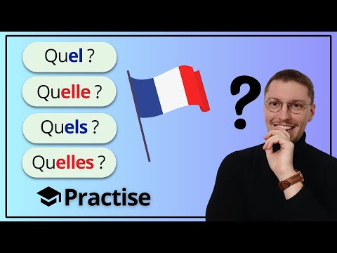 12 Exercices LE LA LES UN UNE DES A1