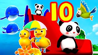 10 Little Animals 🐻🐯 | Animal Song Collection | Little Baby Bum