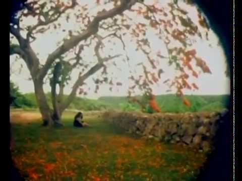 Beirut Havana - Hanine y Son Cubano