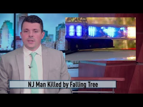 NJ Vernon Man Killed By Falling Tree