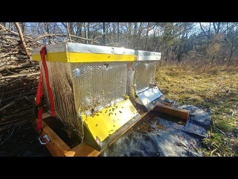 (Wild) Mead The Hard Way