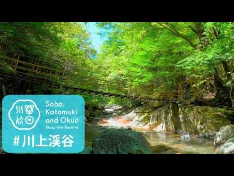 川上渓谷【渓谷散策】
