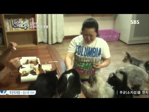 순간 포착 세상에 이런 일이 130808 #13(9)