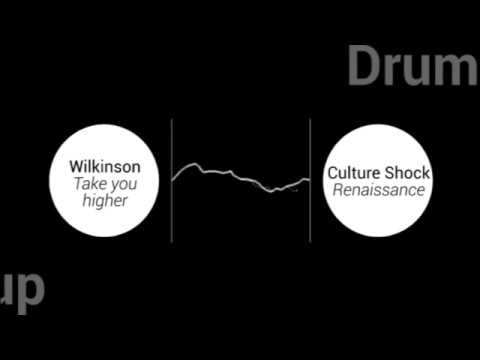 Wilkinson x Culture Shock - Take you higher x Renaissance 🟢Mashup