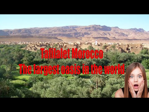 Tafilalet, The largest Oasis in the world- Drâa-Morocco