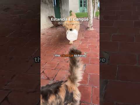 How long to stay at a Uruguay ranch (estancia)