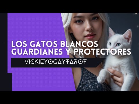 EL MISTERIOSO PODER DE LOS GATOS BLANCOS | GUARDIANES ESPIRITUALES Y PROTECTORES ENERGÉTICOS
