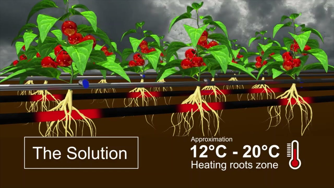 Roots’s zone climate optimization