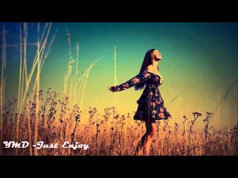 Vicetone vs Popeska - The New Kings feat Luciana (Extended Mix)