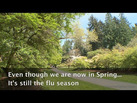 download lagu mp3 mp4 Springs Washington State, download lagu Springs Washington State gratis, unduh video klip Springs Washington State