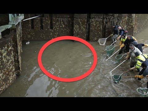 When Authorities Drained This 200 Year Old Canal, What They Found At The Bottom Was Extraordinary