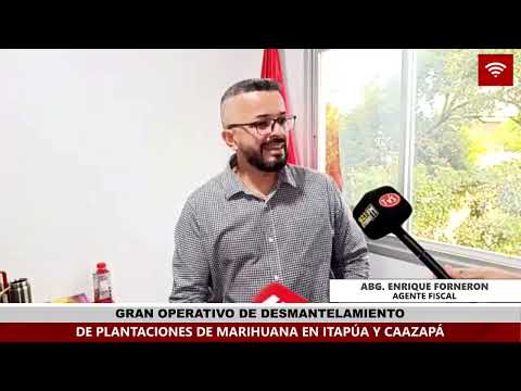 DESTRUYEN NUEVE HECTÁREAS DE SUPUESTA MARIHUANA EN ALTO VERÁ