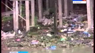 Пангасиус где водится река или море