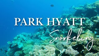 SNORKELING AT PARK HYATT MALDIVES (2023) 🐠🦈 One of our Favorite House Reefs we&amp;#39;ve Snorkeled! (4K)