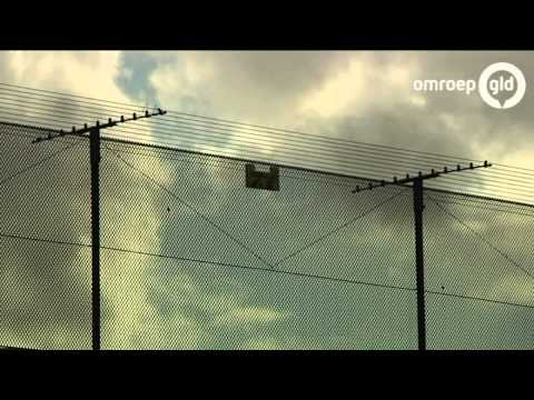 Dossier GLD - Reconstructie Jose Burbank