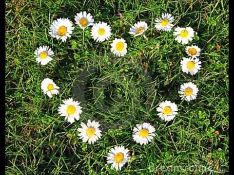 PLEASE STAY~TALENTED AND MOGBA